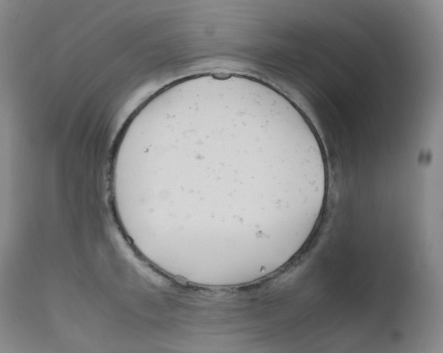 X0000111840997200909031659