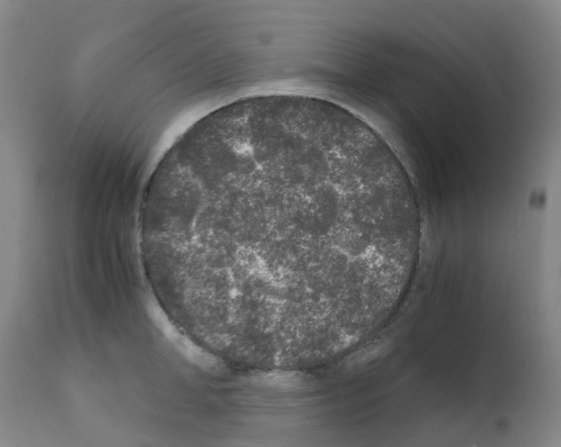 X0000111840998200909031659