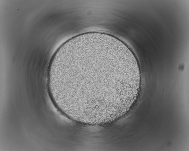 X0000111840999200909031659