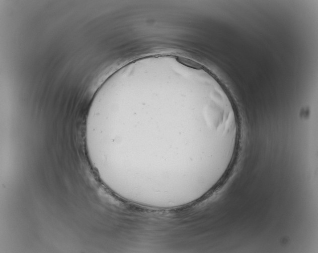 X0000111841001200909031659