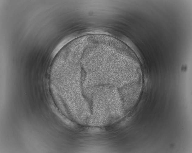 X0000111841002200909031659