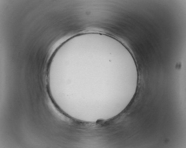 X0000111841003200909031659