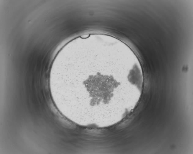 X0000111841004200909031659