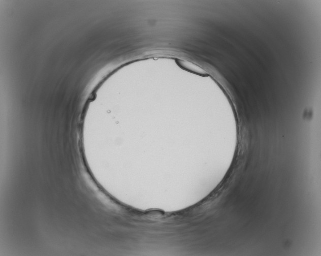 X0000111841005200909031659