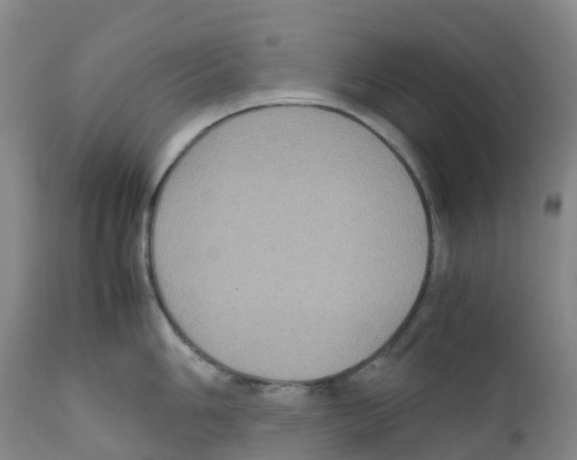 X0000111841006200909031659