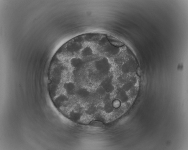 X0000111841007200909031659