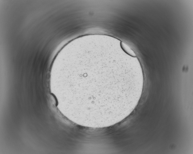 X0000111841008200909031659