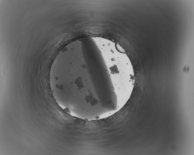 X0000111841009200909031658