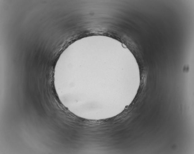 X0000111841012200909031658