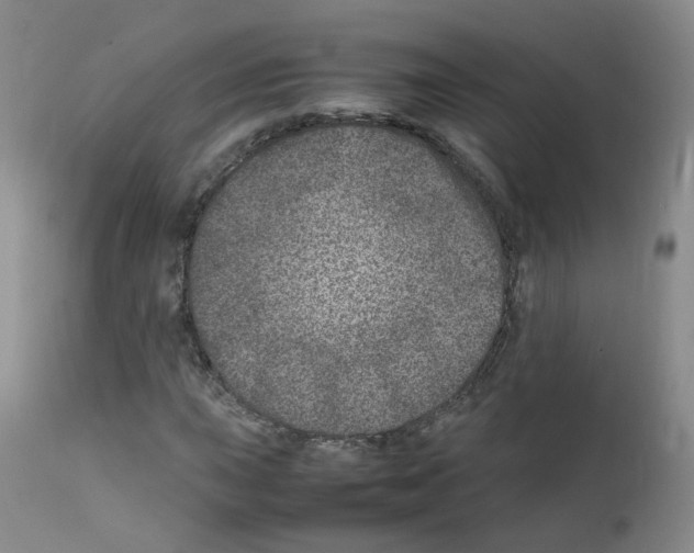 X0000111841015200909031658