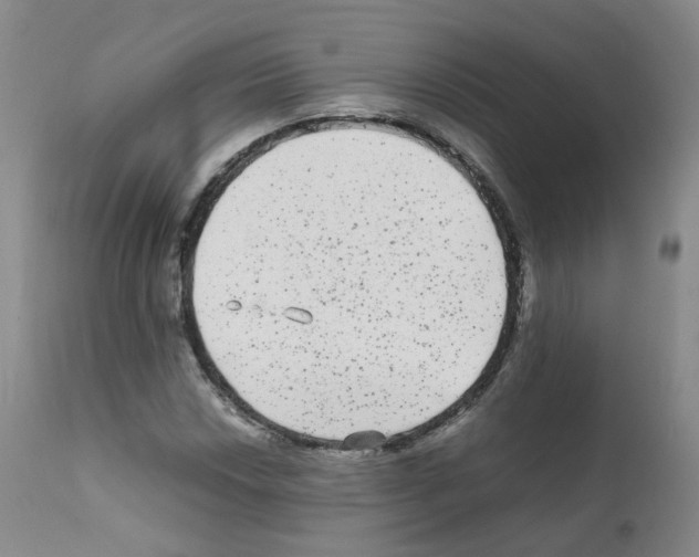 X0000111841018200909031658