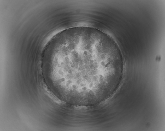 X0000111841019200909031658