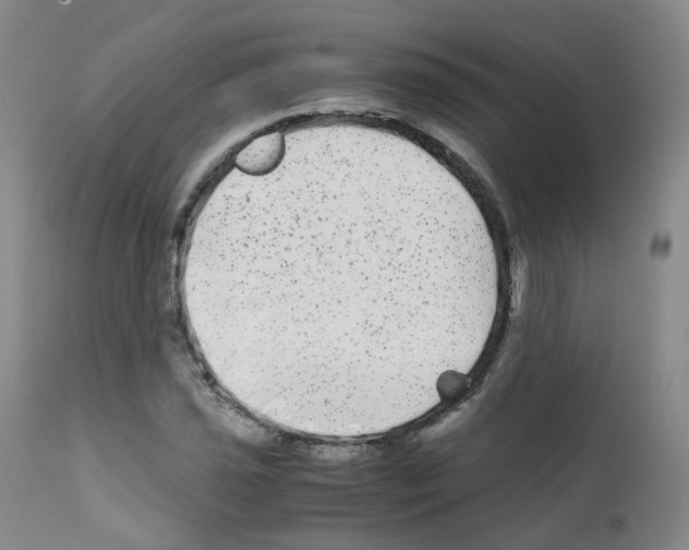 X0000111841021200909031658