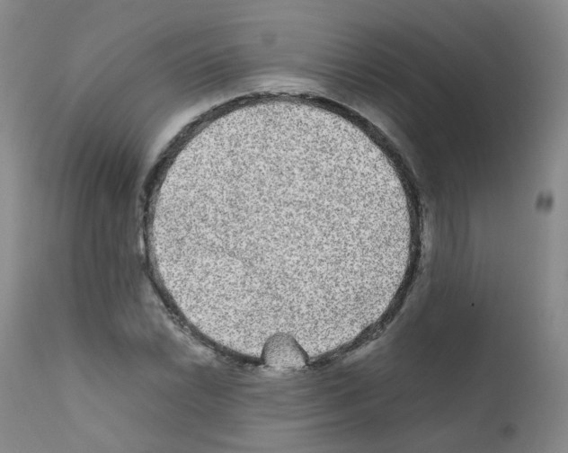 X0000111841022200909031658