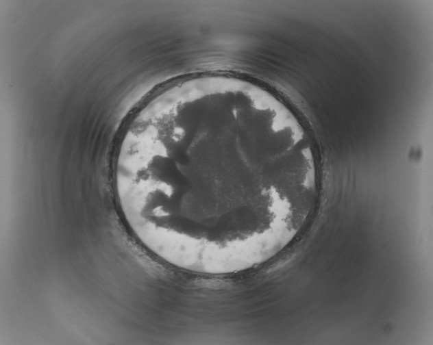 X0000111841023200909031658