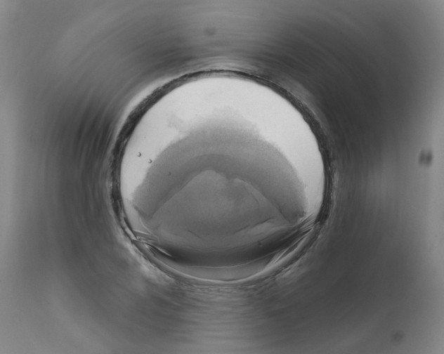 X0000111841024200909031658