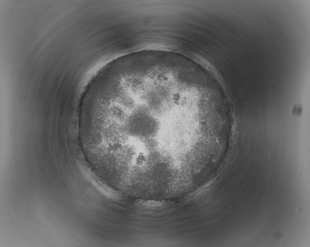 X0000111841027200909031658