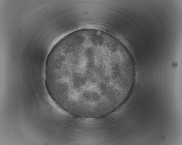 X0000111841028200909031658