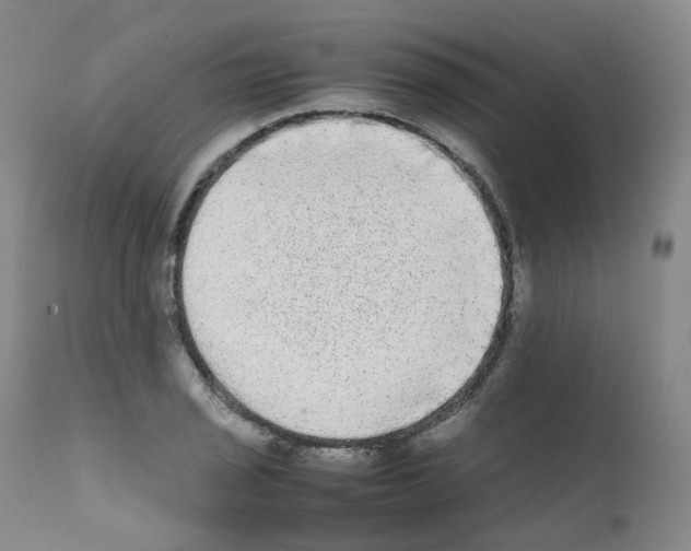 X0000111841029200909031658