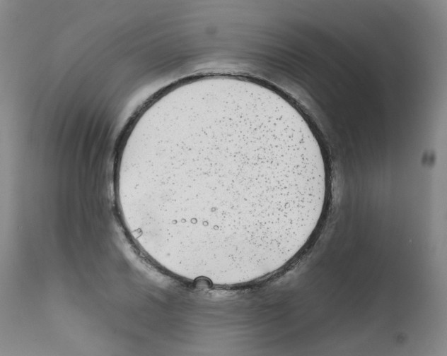 X0000111841030200909031658