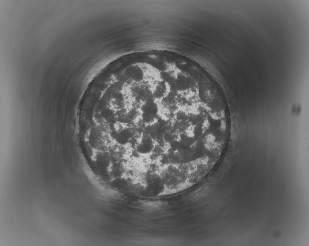 X0000111841031200909031658