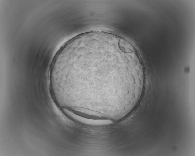 X0000111841032200909031658