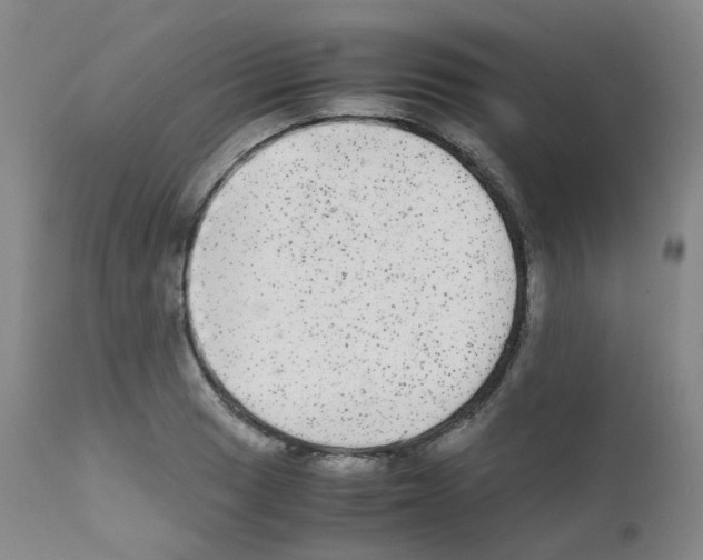 X0000111841033200909031658