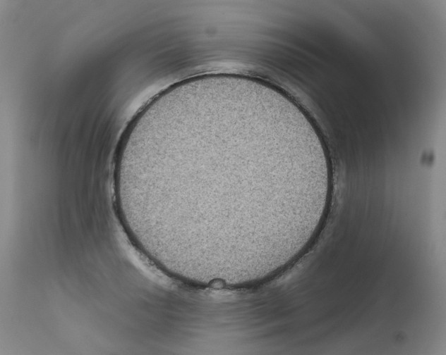 X0000111841034200909031658