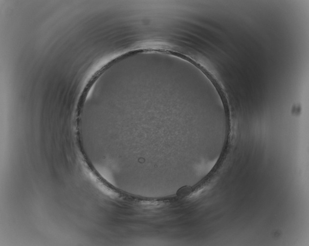 X0000111841037200909031658