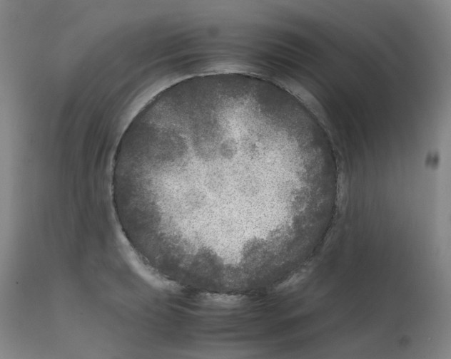 X0000111841039200909031658