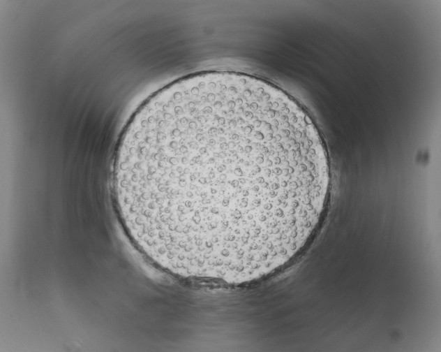 X0000111841040200909031658