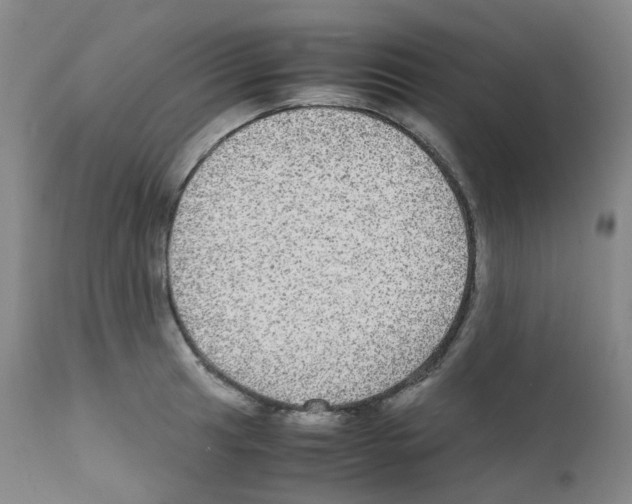 X0000111841041200909031658