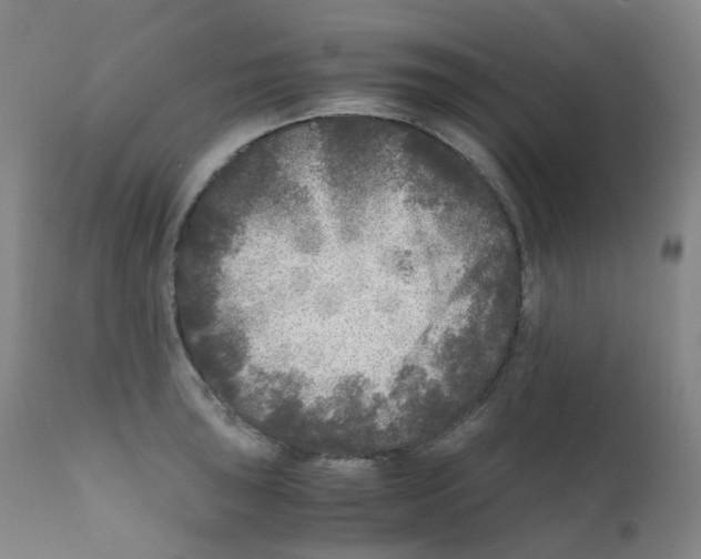 X0000111841043200909031658