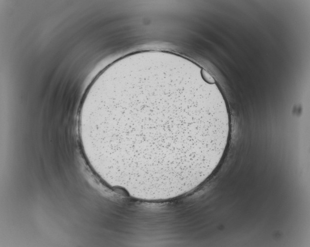 X0000111841044200909031658