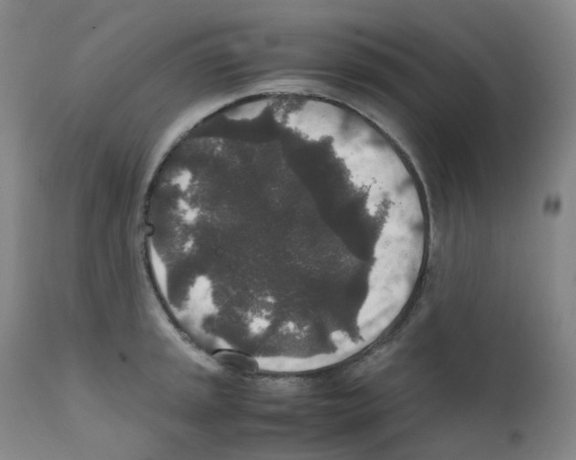 X0000111841045200909031658