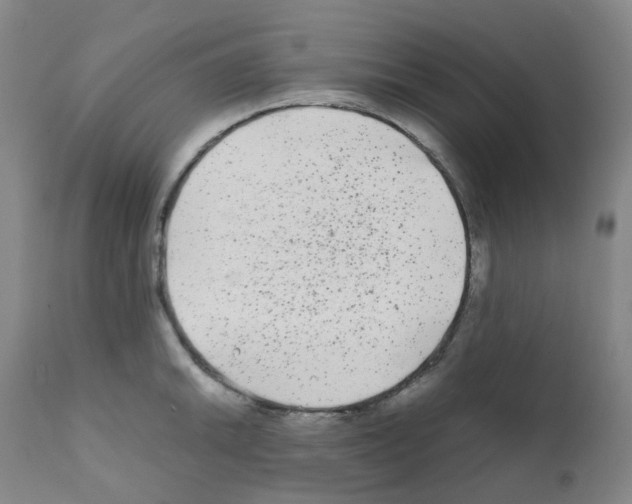 X0000111841046200909031658