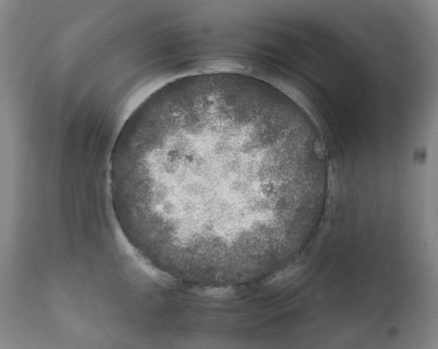 X0000111841047200909031658