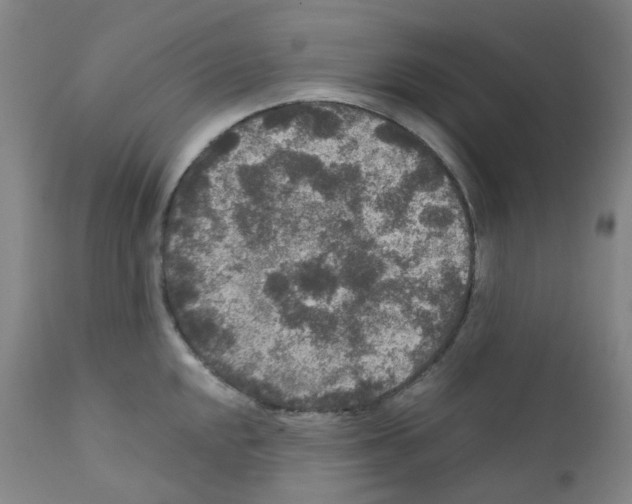 X0000111841048200909031658