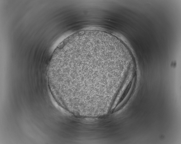 X0000111841049200909031658