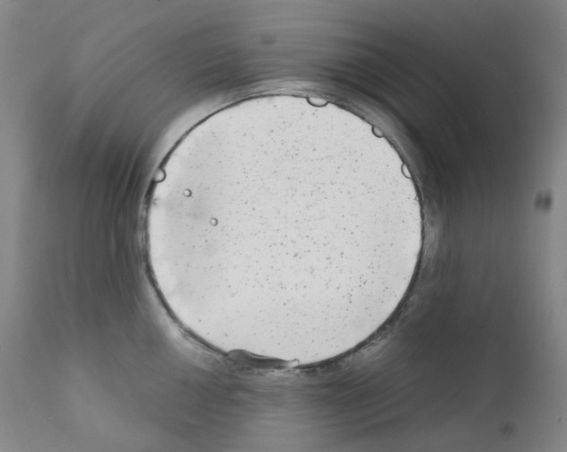 X0000111841050200909031658