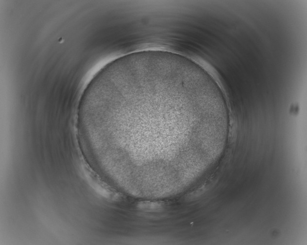 X0000111841051200909031658