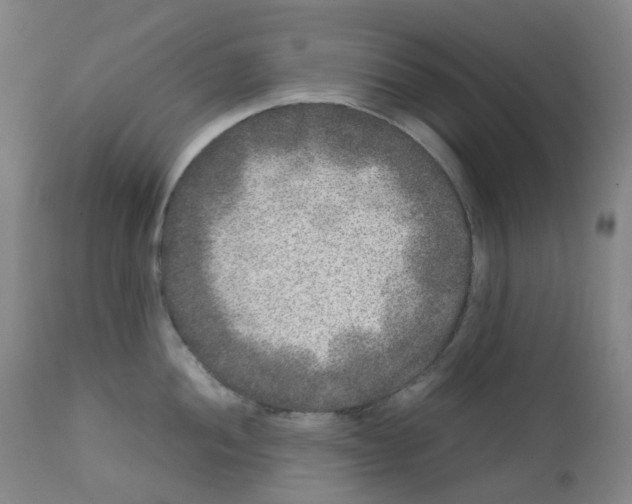 X0000111841052200909031658