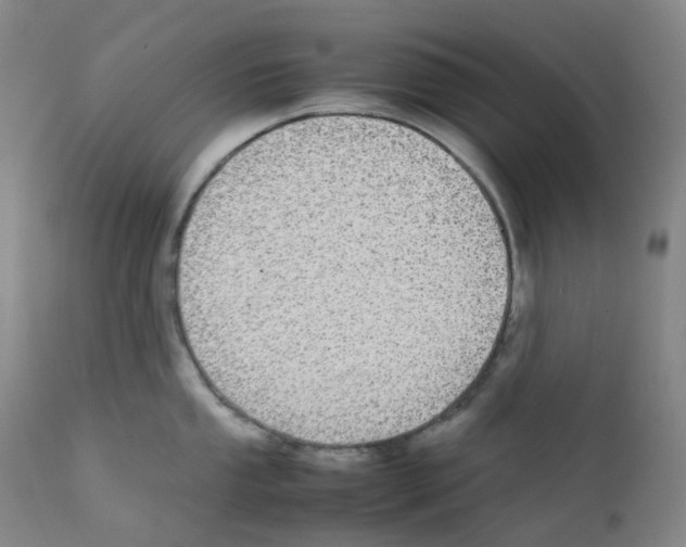 X0000111841053200909031658