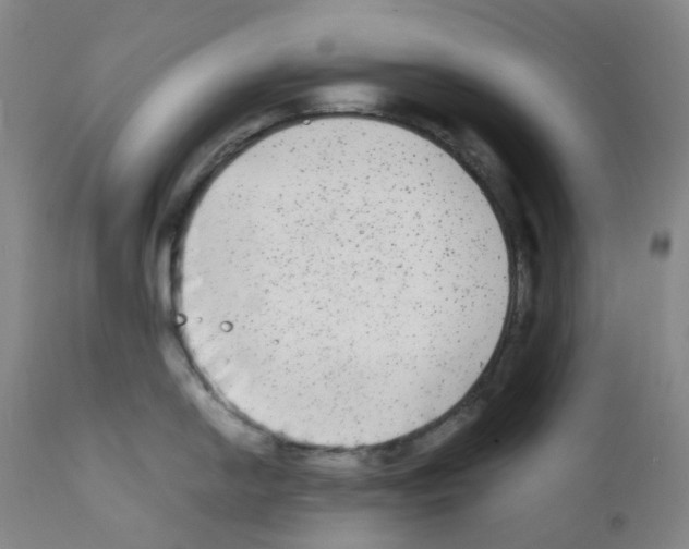 X0000111841054200909031659