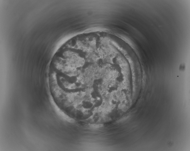 X0000111841055200909031659