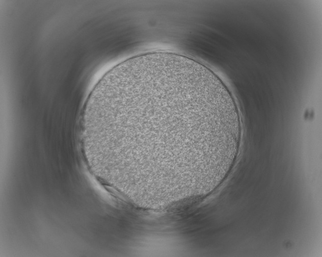 X0000111841056200909031659