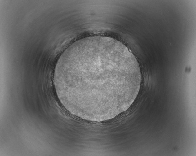 X0000111841060200909031658