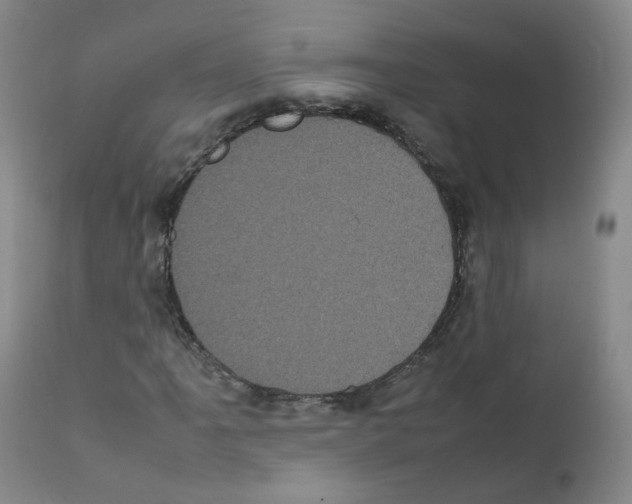 X0000111841061200909031658