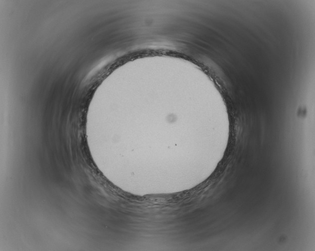 X0000111841064200909031658