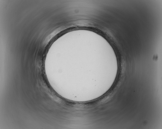 X0000111841065200909031658